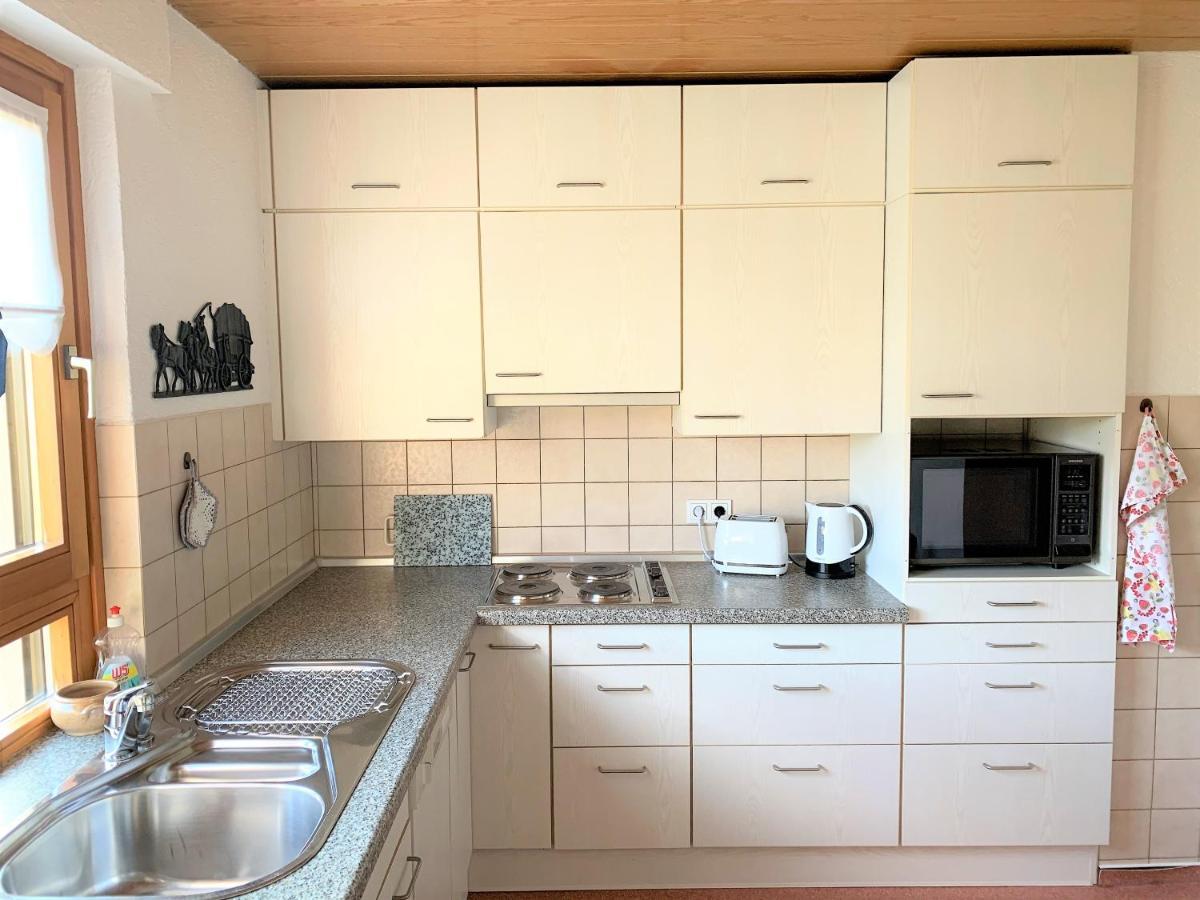 Bodensee Apartment Friedrichshafen Manzell Buitenkant foto